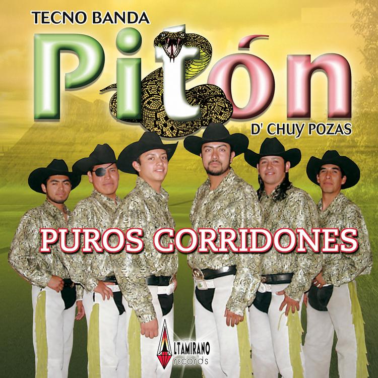 Tecno Banda Piton's avatar image