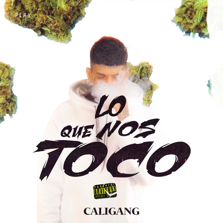 Calí Gang's avatar image