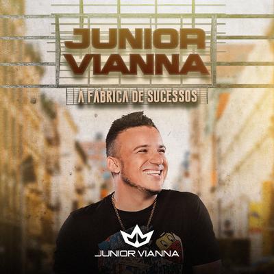 Toca Sanfoneiro By Junior Vianna's cover