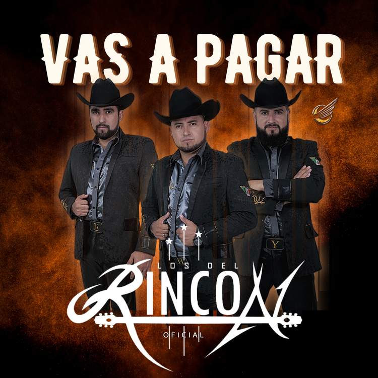 Los Del Rincón Oficial's avatar image