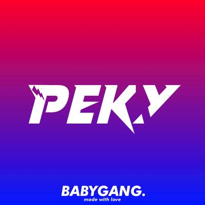 DJ Peky Rmx's cover