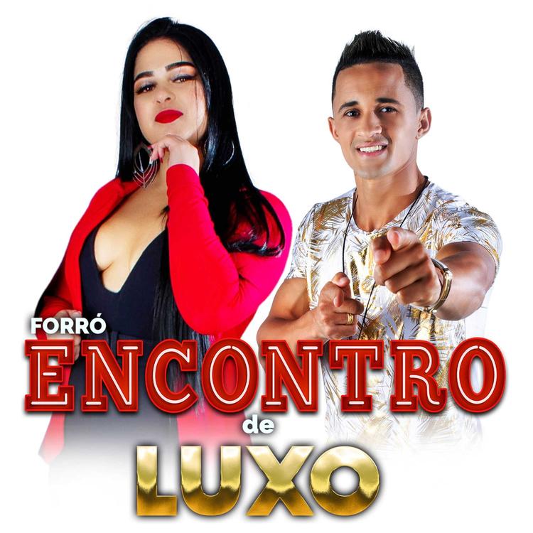 Forró Encontro De Luxo's avatar image