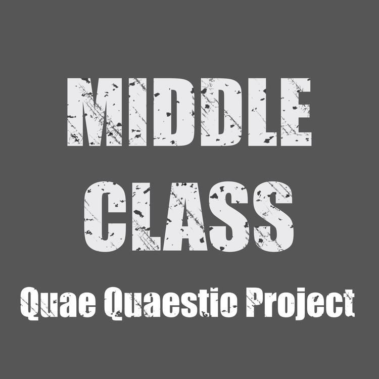 Quae Quaestio Project's avatar image