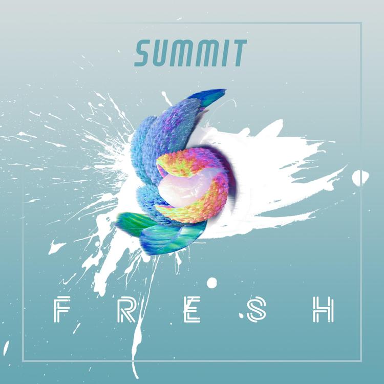 Summit's avatar image