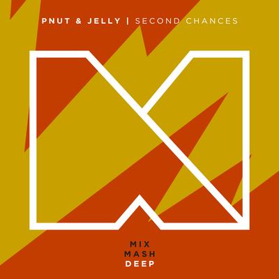 Second Chances (Radio Edit) By Pnut & Jelly's cover
