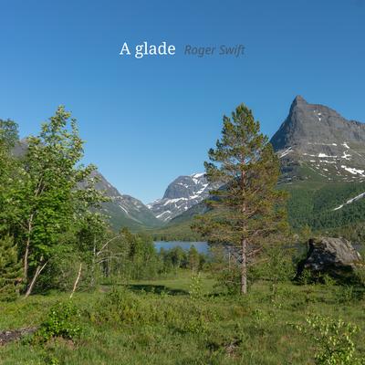 A glade By Roger swift's cover