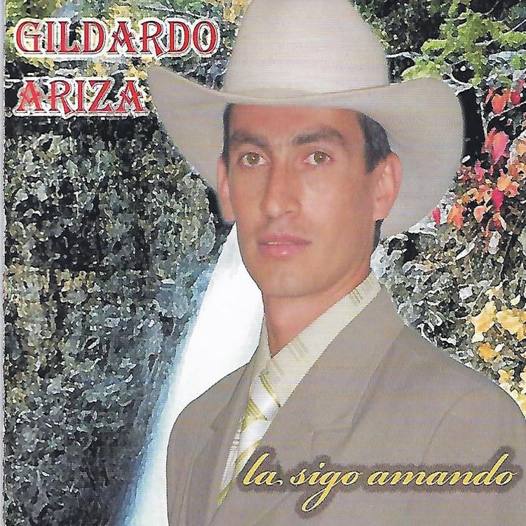 Gildardo Ariza's avatar image