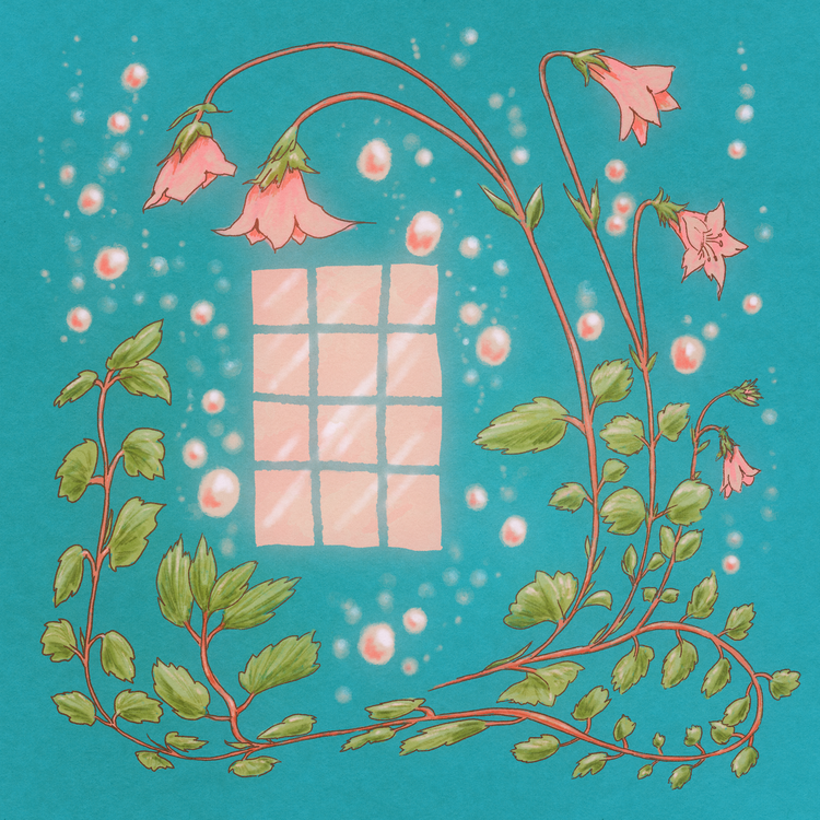 Dream Garden's avatar image