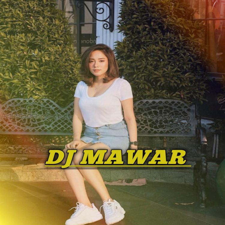 DJ MAWAR's avatar image