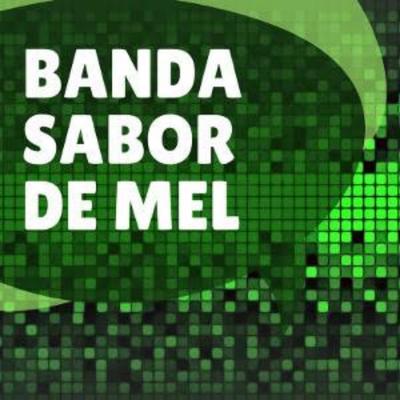 Banda Sabor de Mel's cover