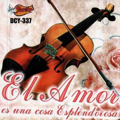 Al Ritmo De La Lluvia By Jorge Espinoza Y Su Violin's cover