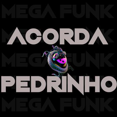 MEGA FUNK ACORDA PEDRIN By DJ Zanetta SC's cover