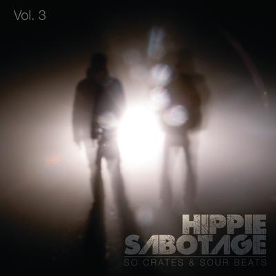 Stumbled into History By Hippie Sabotage's cover