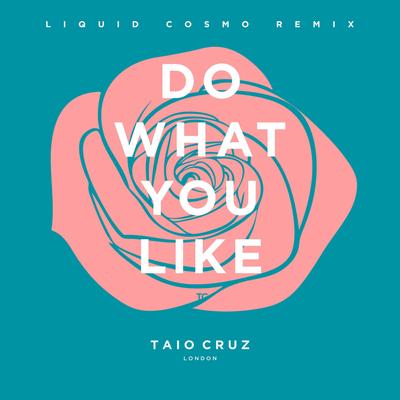 Do What You Like (Liquid Cosmo Remix) [Radio Edit]'s cover