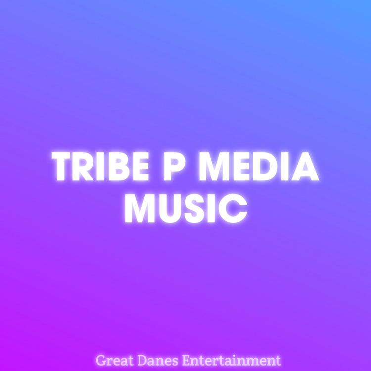 Tribe P Media's avatar image