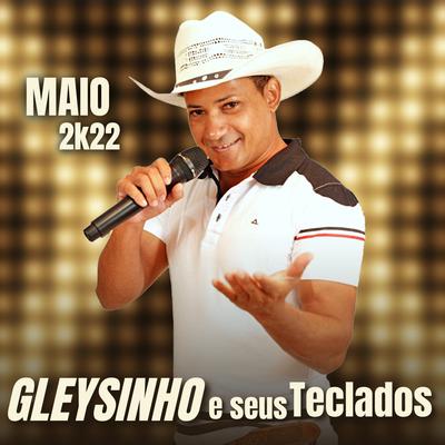 Do Seu Amor Que Eu Preciso By Gleysinho e Seus Teclados's cover