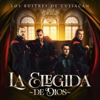 Los Buitres De Culiacan Sinaloa's avatar cover