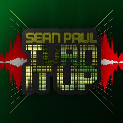 Turn It Up By Sean Paul's cover