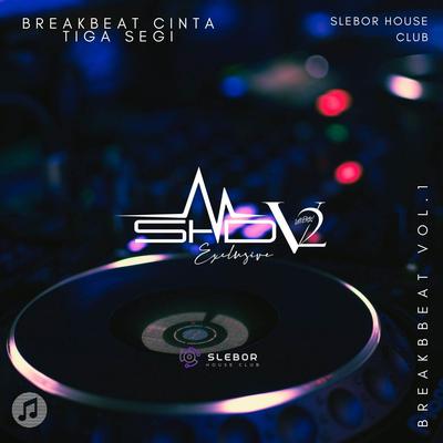 DJ BREAKBEAT CINTA TIGA SEGI FULL BASS's cover