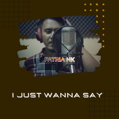 I Just Wanna Say's cover