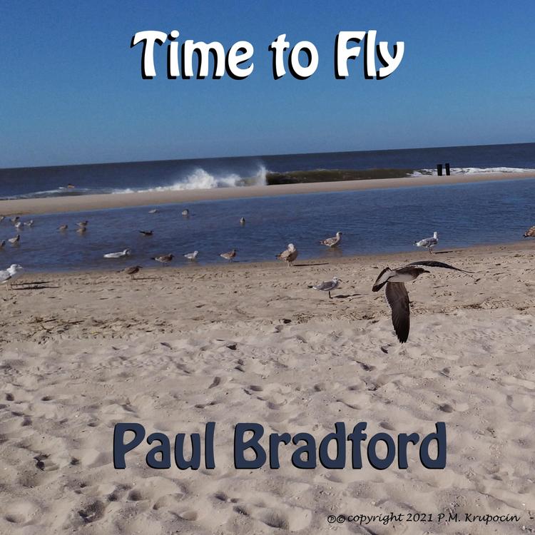 Paul Bradford's avatar image