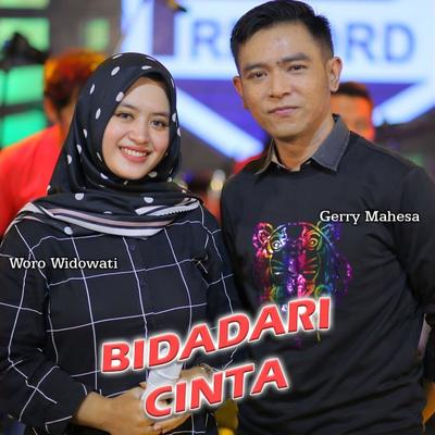 Bidadari Cinta's cover