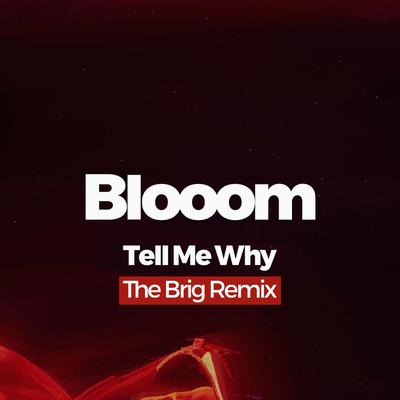 Tell Me Why (The Brig Remix)'s cover