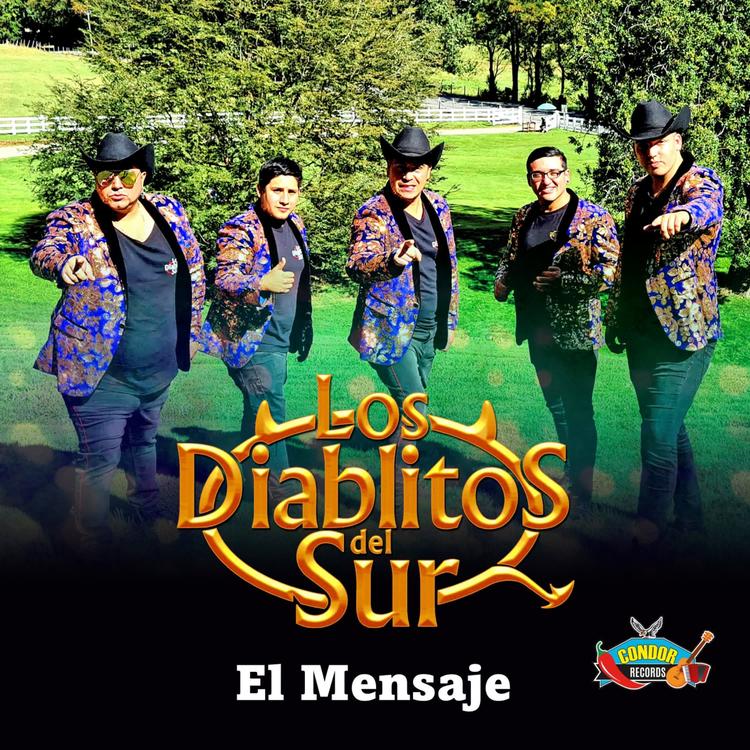 Los Diablitos Del Sur's avatar image