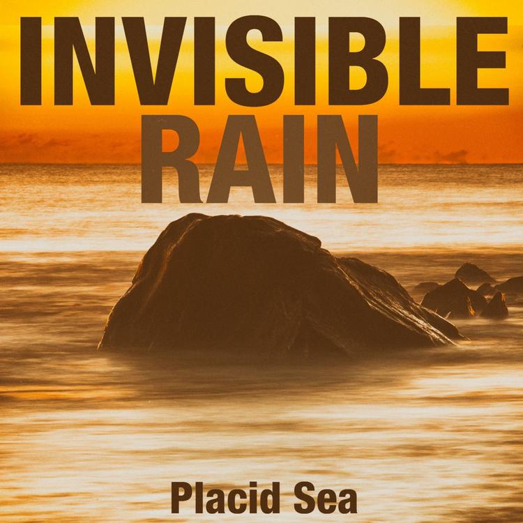 Invisible Rain's avatar image