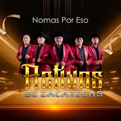 Activos De Zacatecas's cover