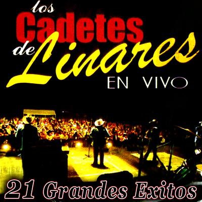 21 Grandes Éxitos (En Vivo)'s cover