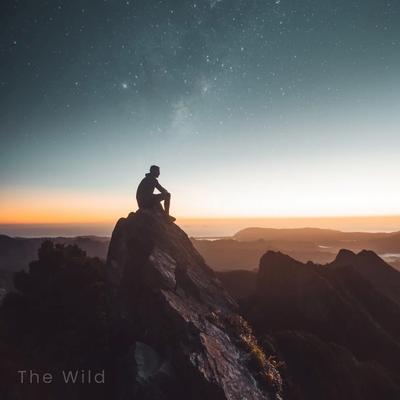 The Wild By Hypntc, Ghost Beats's cover