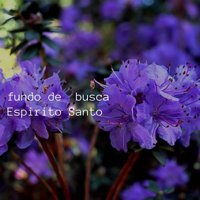 Fundo de  Busca  Espirito Santo By carlinhosdobaile's cover