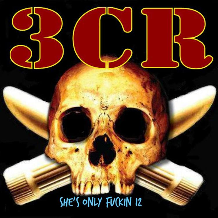 3Cr's avatar image