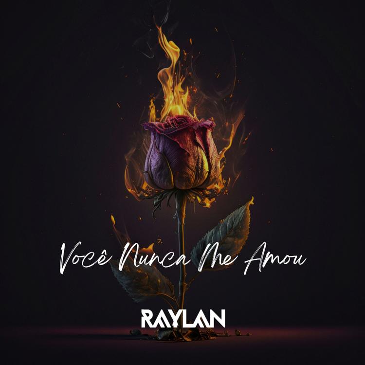 RayLan's avatar image