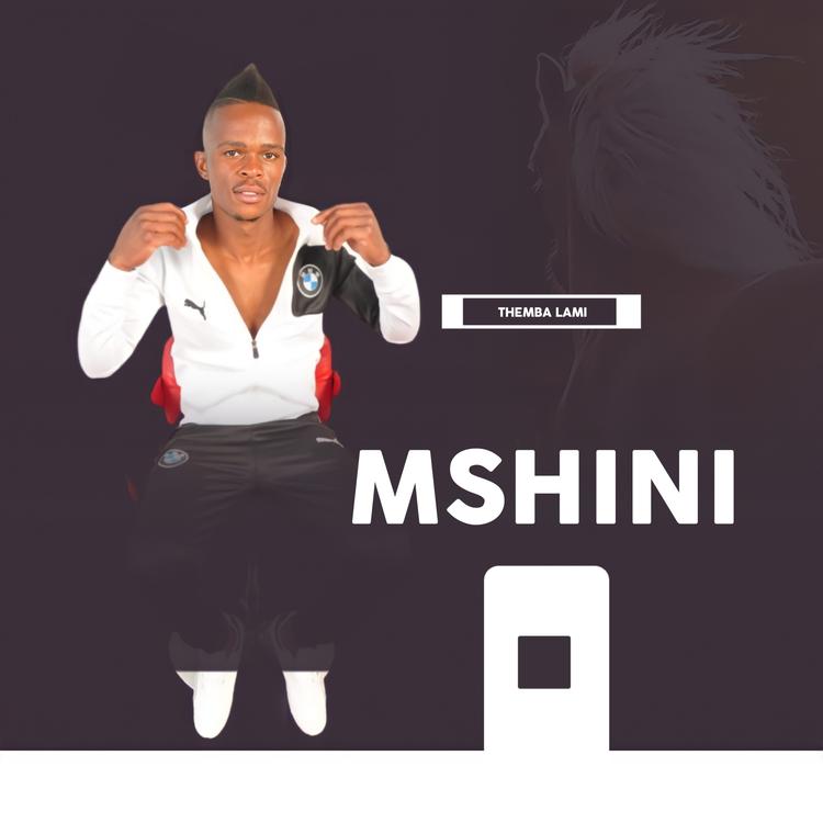 Mshini's avatar image