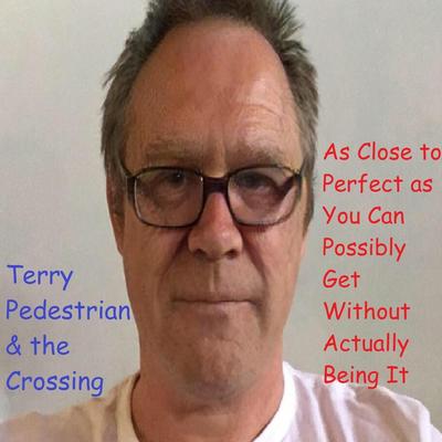 Terry Pedestrian & the Crossing's cover