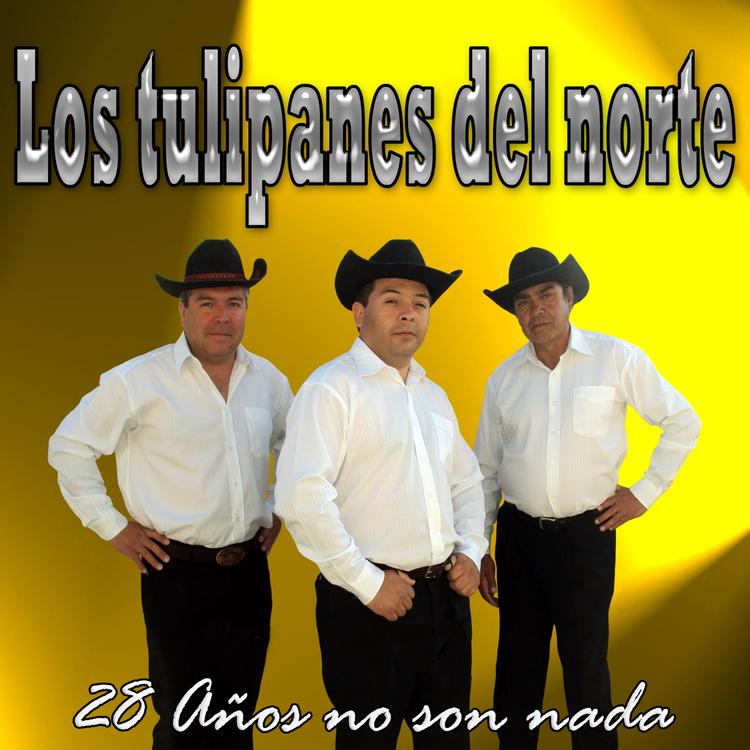 Los Tulipanes Del Norte's avatar image