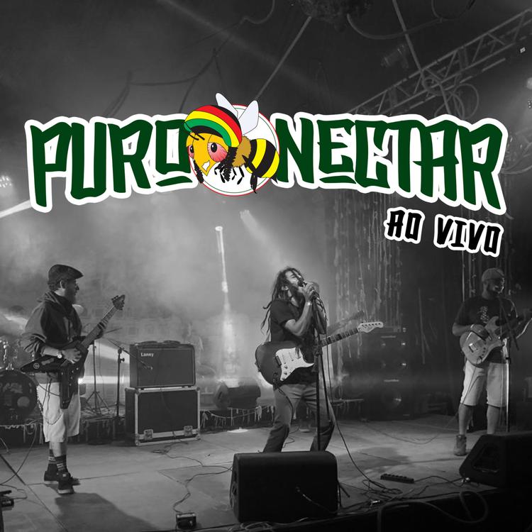 Banda Puro Néctar's avatar image