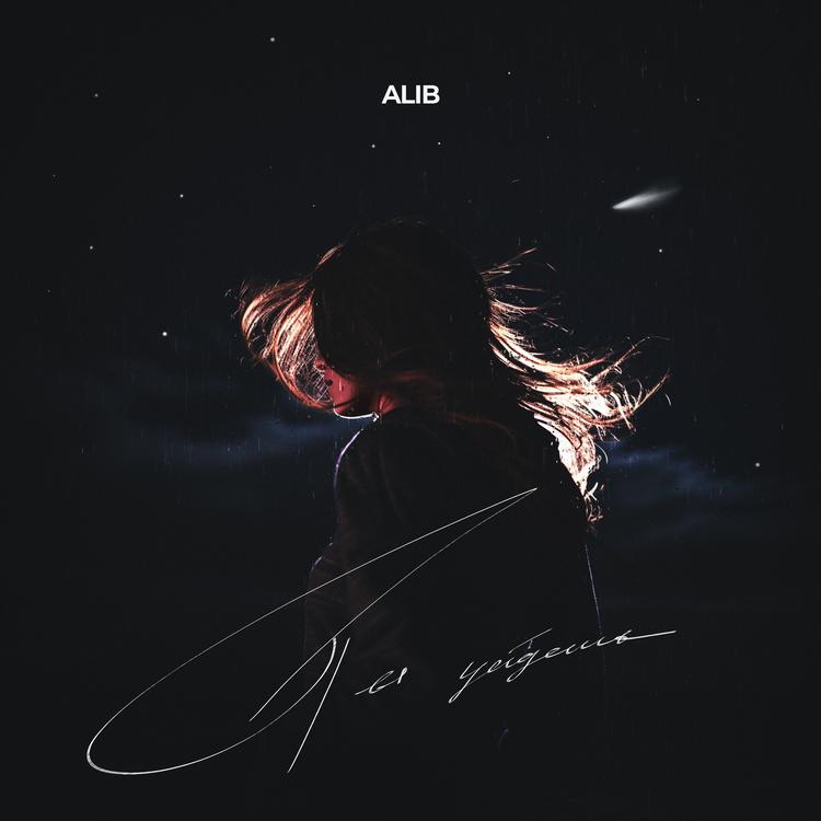 ALIB's avatar image