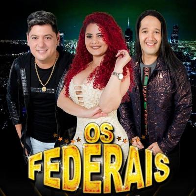 Ninguém Vai Separar's cover