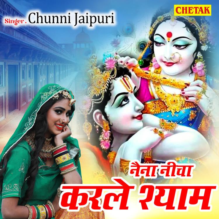 Chunni Jaipuri's avatar image