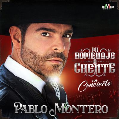 Mi Homenaje A Chente (En Concierto)'s cover