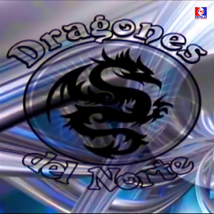 Dragones Del Norte's avatar image