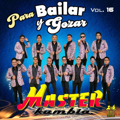 Para Bailar y Gozar Vol. 16's cover