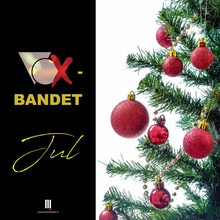 Vox-bandet's avatar image