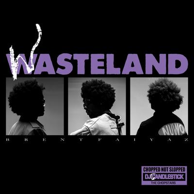 WASTELAND - CHOPPED NOT SLOPPED's cover