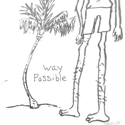 Way Possible's cover