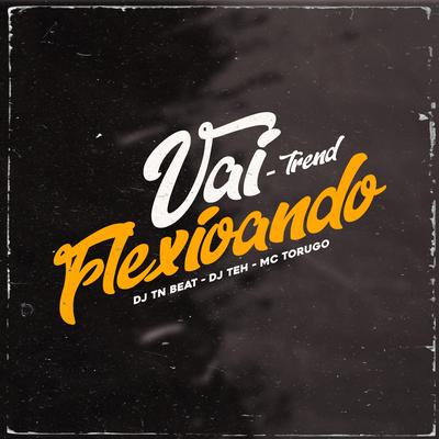 Vai Flexionando By DJ TN Beat, MC Torugo, DJ Teh's cover
