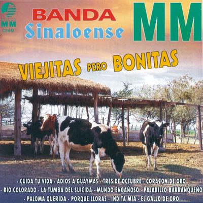 Viejitas Pero Bonitas's cover